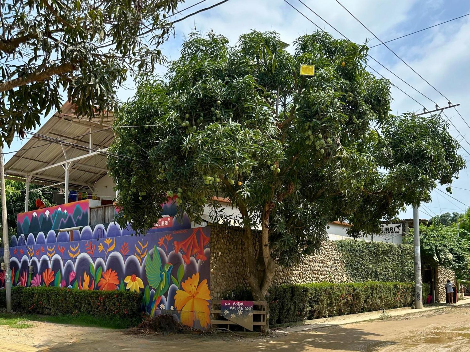 Casa Colibri Palomino Exterior foto