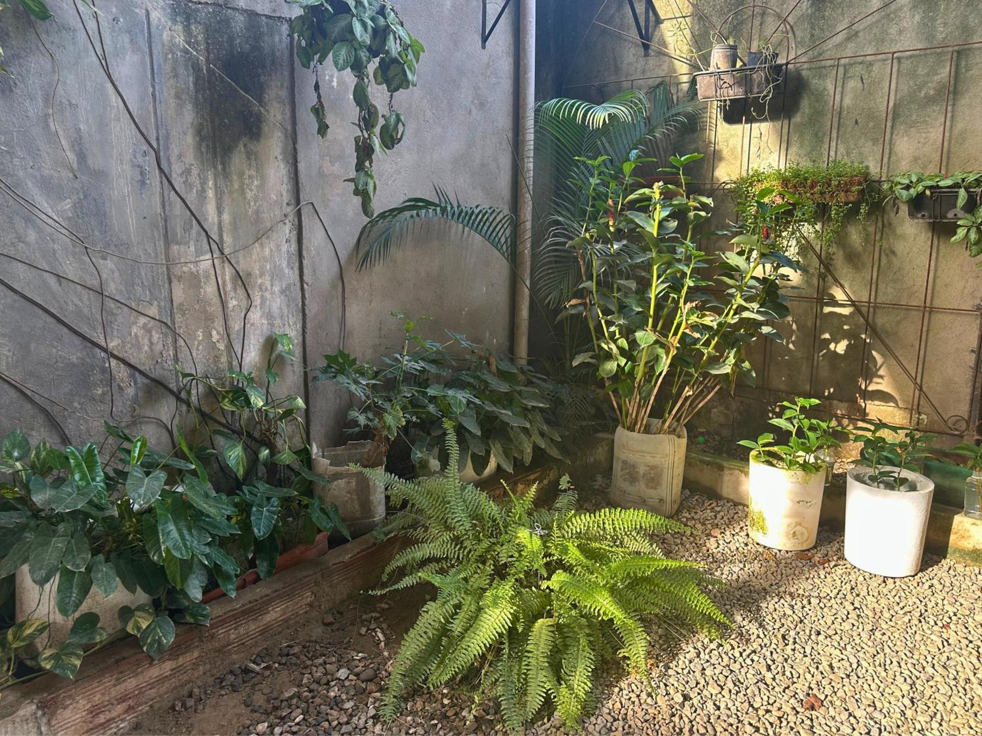 Casa Colibri Palomino Exterior foto